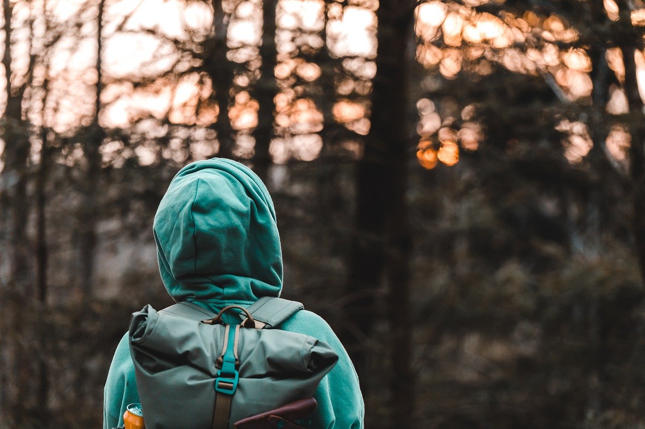 Sonnenaufgang im Wald