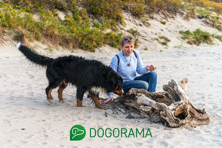 Hunde-Urlaubs-Ranking 2026! / Das sind die 10 beliebtesten Urlaubsorte für Hundehalter!